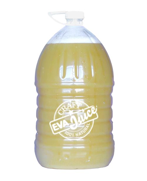 Fresh Juice Port Elizabeth